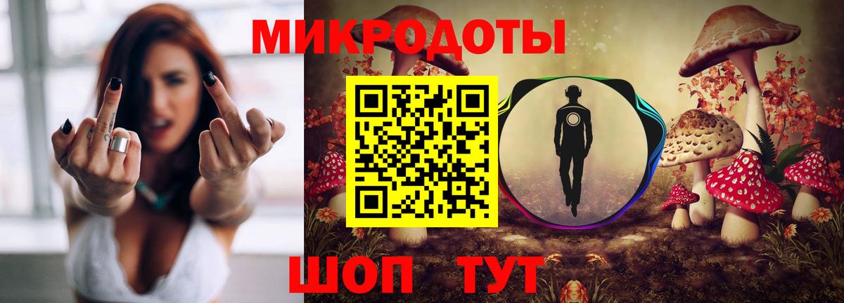 Чапаевск  Псилоцибиновые грибы Psilocybe  Вход с VPN 